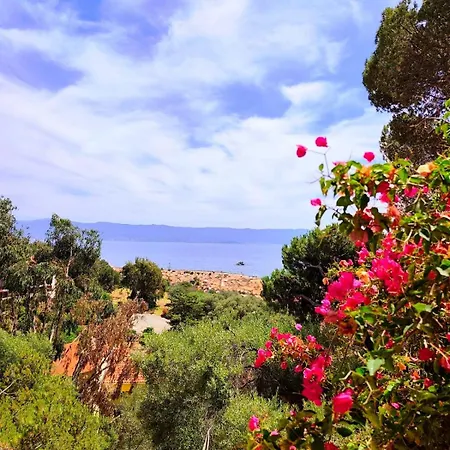 Premium - 1 Bedroom - Panoramic Sea View At Les Sanguinaires Apartamento *