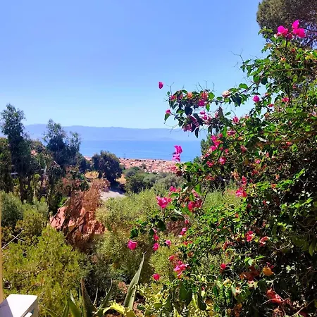 Premium - 1 Bedroom - Panoramic Sea View At Les Sanguinaires Apartamento
